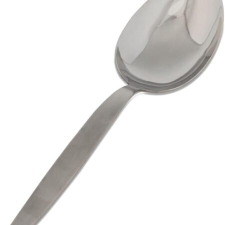 Stainless Steel Sauce Spoon