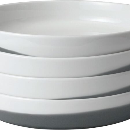 10-Inch Basalt Blue Porcelain Dinner Plate Set of 4