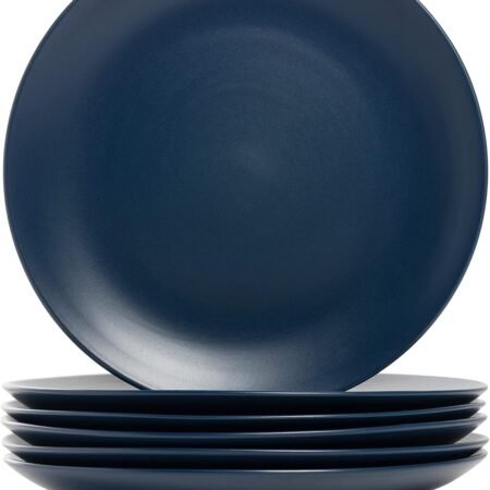 10.5-Inch Midnight Blue Matte Dinner Plate Set of 6